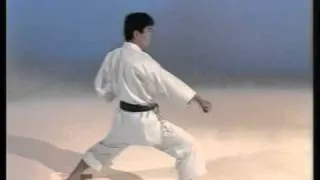 Kihon Kata - Ohta Sensei