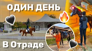 VLOG: соревнования по выездке и экскурсия по Отраде