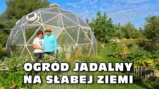 Edible Garden on Bad Soil - Angel Gardens, Western Poland, Part 1: The Secrets of Grandma Angel