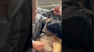 Unconditional Love! Doggo Snuggles His Hooman Brother in the Sweetest Way