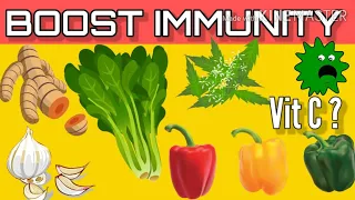 How to Boost immunity power naturally? 10 Foods to Boost your immunity ||