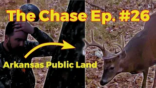 Close Encounter With A Big Buck! | Arkansas Public Land