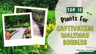 Enchanting Walkway Borders ✅ The 10 Most Captivating Plants!