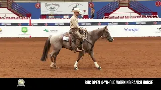 AQHA VRH World Championship Show: Judge's Perspective