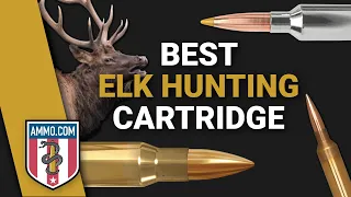 The 8 Best Elk Hunting Cartridges: Bringing Down the Big Bulls