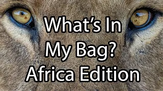 What's In My Bag? Africa Edition