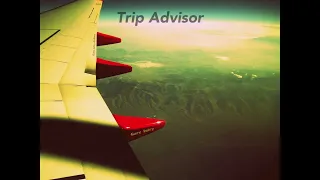 Gary Juicy - Trip Advisor [2015]