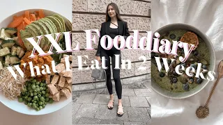 XXL Fooddiary - What I Eat In 2 Weeks 🍰🍲🥑🍉 I itscaroo