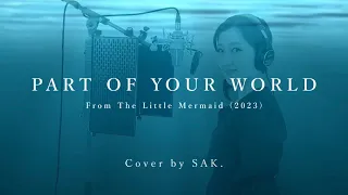 [Cover] Part of Your World (from The Little Mermaid 2023/Halle Bailey)