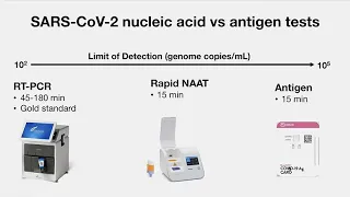 COVID-19 Diagnostics: Everything you Need to Know about Tests and Variants