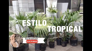 JARDIN ESTILO O LOOK TROPICAL