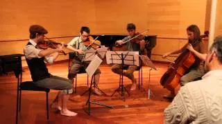 The Lord of the Rings for String quartet [HD] - V. The Return of The King