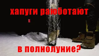 РЫБАЛКА В ПОЛНОЛУНИЕ! ХАПУГИ РАБОТАЮТ!