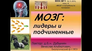 Мозг: лидеры и подчинённые - Вячеслав Дубынин