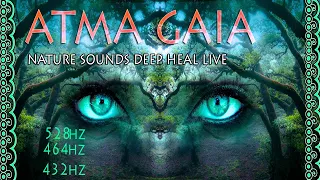 9 HOURS OF NATURE SOUNDS- DEEP HEAL ,MANIFEST YOUR HIGHER SELF & OVERCOME OBSTACLES  432-528-464HZ