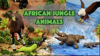 Explore the African Rainforest Jungle | DIY Diorama & Animal Toys