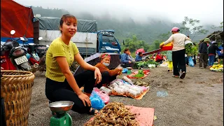 FULL VIDEO : 365 Day Go to the market to sell Taro, Ginger, egg, vegetables, palm fruit . . .