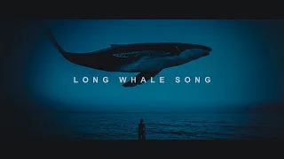 SymphoCat - Long Whale Song (Official Music Video)