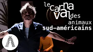 Le carnaval des animaux sud-américains - Ensemble ALMAVIVA