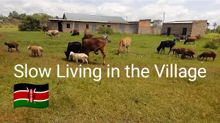 VILLAGE VLOG:Humble Life of a Kenyan  Introvert Village Woman||New 🐔||Clean with me...