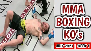 MMA & Boxing Knockouts, July 2023 | Week 1
