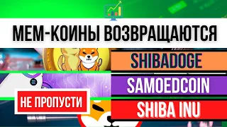 МЕМ-КОИНЫ ВОЗВРАЩАЮТСЯ! (SHIBADOGE (SHIBDOGE), SAMOEDCOIN (SAMO), SHIBA INU (SHIB))