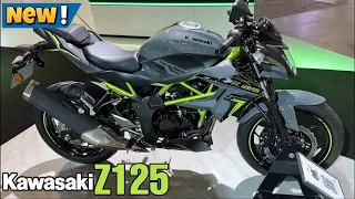 Finally Kawasaki Z125 Launched In India || Price, Features Full Detail Video