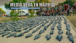 Media veda en Madrid