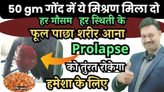 100% प्रभावी गाय भैंस के फूल दिखाने की दवा No 1 इलाज Prolapse ka desi ilaj