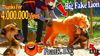 Big Fake Lion vs. Prank Dogs - Must Watch Funny Video Will Make You Laugh