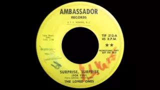 The Loved Ones - Surprise Surprise (For You)