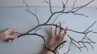 DIY Tree Branches Idea Project 😍 How to Make Cherry Flowers 😊 Crafts and Recycling 👍