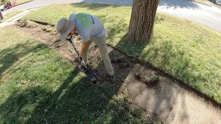 RANDOM Homeowner STUNNED After FREE Overgrown Mowing and Edging