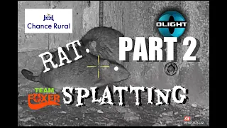 Rat Splatting With Team Foxer