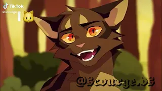 extreme warrior cats tiktoks that make your jaw drop / credits in desk / none are mine!