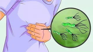 How to destroy H. Pylori Bacteria with Home Remedies