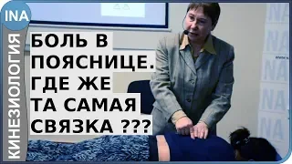 Боль в пояснице. Где же та самая связка? Проф. Л.Ф.Васильева. Кинезиология. Германия