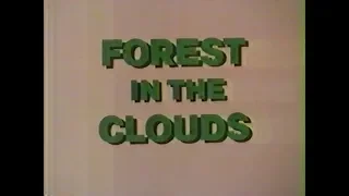 Forest in the Clouds (1984)