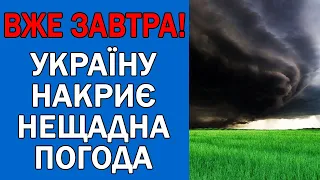 ПОГОДА НА ЗАВТРА : ПОГОДА 24 СЕРПНЯ