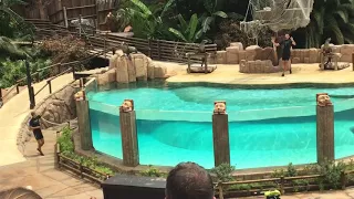 Tenerife 2017.... Jungle Park... show seals !!! Шоу морских котиков