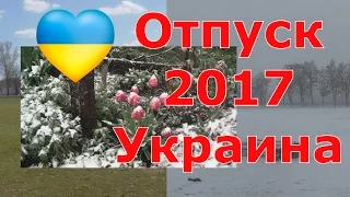 Отпуск 2017/Причуды погоды/Украина/Тюльпаны в снегу