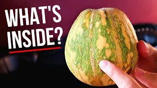 AYOTE SQUASH SURPRISE! - Sometimes It's GREEN Inside, Sometimes It Isn't (What will it be?)