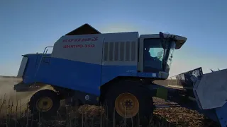 🇺🇦Збирання соняшнику 2020! Claas Дніпро 350.