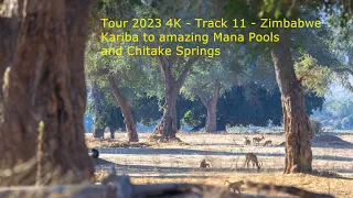 11 - Zimbabwe, Mana Pools and Chitake Springs, amazing wildlife - Track 11 - Tour 2023 4k