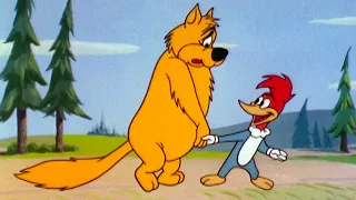 Woody Makes A New Friend | 2.5 Hours of Classic Episodes of Woody Woodpecker