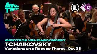 Tchaikovsky: Variations on a Rococo Theme, Op. 33 - Ella van Poucke & Radio Filharmonisch Orkest HD