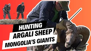 Mongolia's Giant Argali Sheep Hunt: An Epic Journey in the Gobi Altai | You HAVE To See THIS!