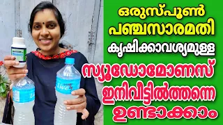 |ഒരുസ്പൂൺ പഞ്ചസാര മതി,  കൃഷിക്കാവശ്യമുള്ള സ്യൂഡോമോണസ് ഇനി വീട്ടിൽത്തന്നെ ഉണ്ടാക്കാം | Pseudomonas