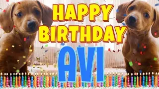 Happy Birthday Avi! ( Funny Talking Dogs ) What Is Free On My Birthday