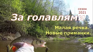 Голавли. Малая речка. Новые приманки.